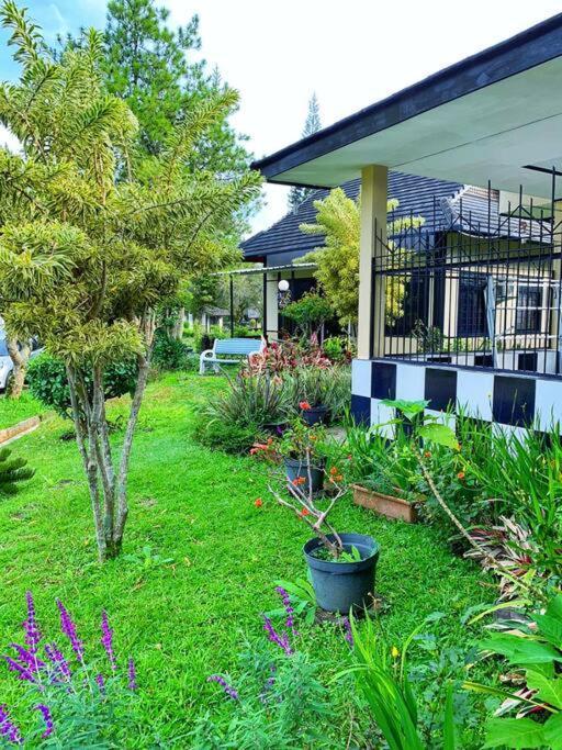 Designer Villa Osaka Puncak Eksteriør billede